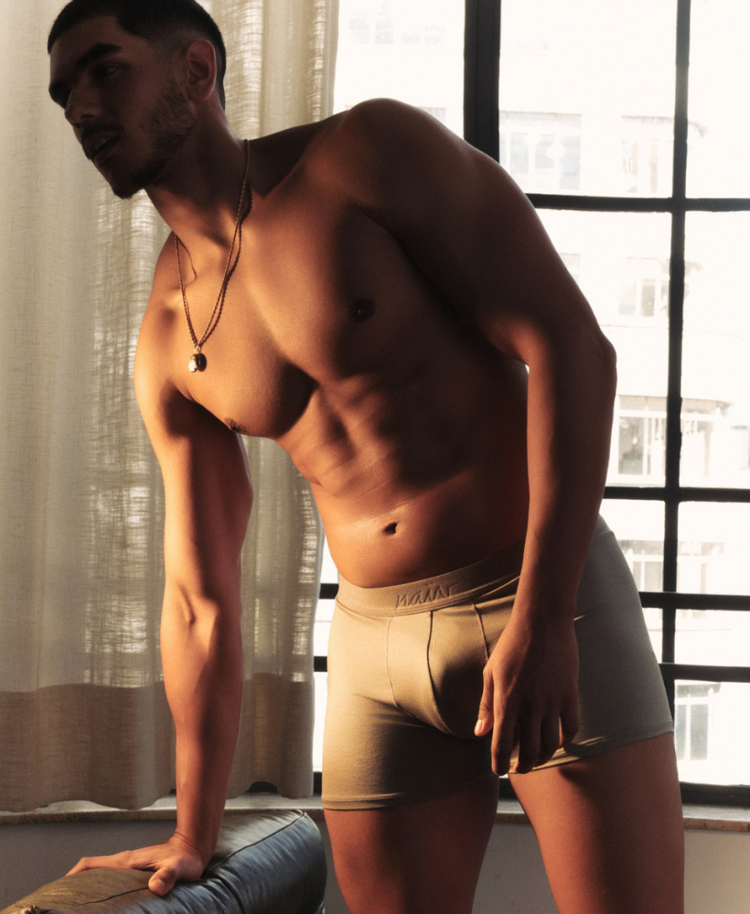 fotao boxer
